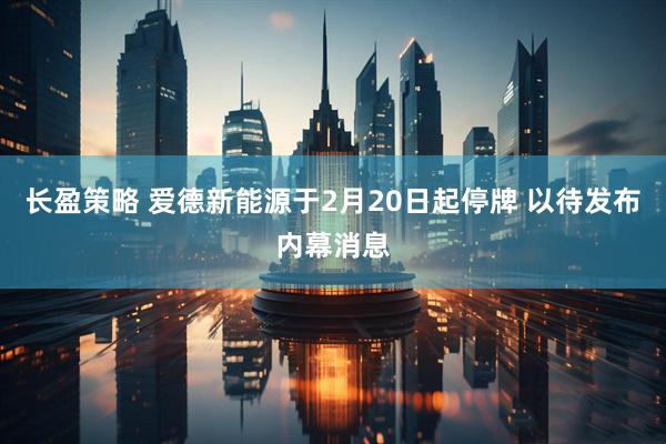 长盈策略 爱德新能源于2月20日起停牌 以待发布内幕消息